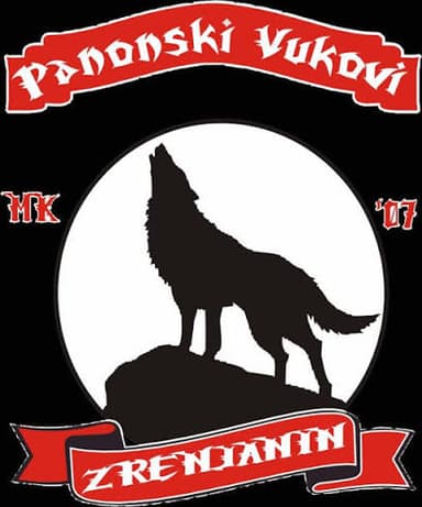 Partner 5